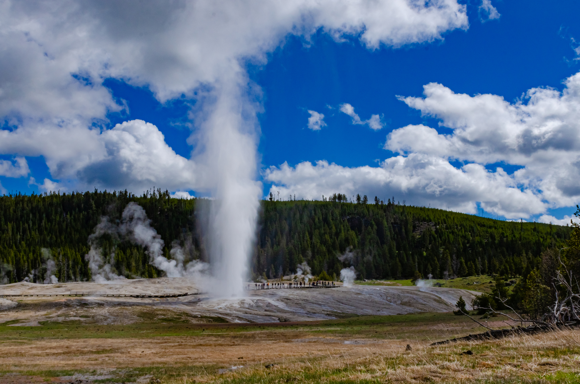 Old Faithful, Yellowstone